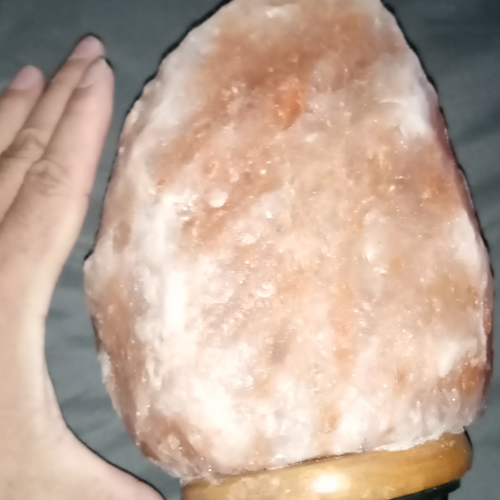 Salt Life Pink Salt Lamp with Wooden Base